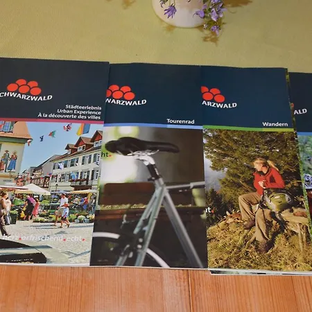 Diana דירה רוסט